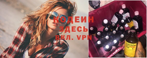ПСИЛОЦИБИНОВЫЕ ГРИБЫ Арсеньев