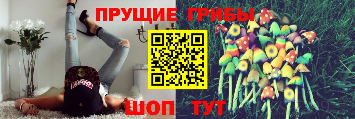 Галлюциногенные грибы Cubensis Курган