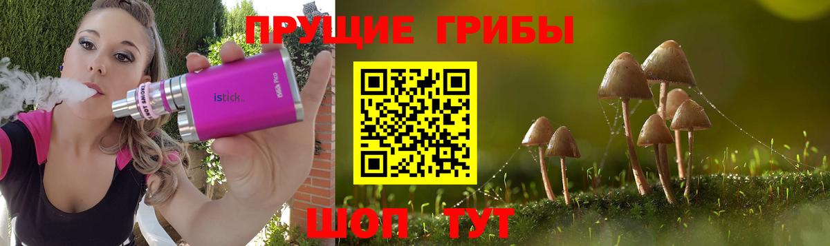 Псилоцибиновые грибы Psilocybe  Вход с VPN  Курган 