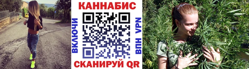 наркота  Курган  Бошки марихуана THC 21% 