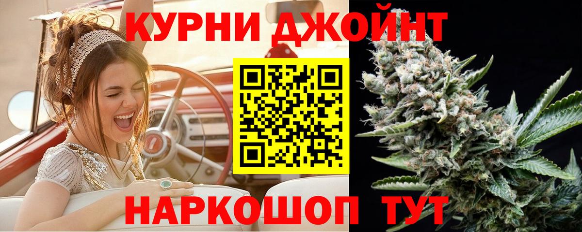 Бошки Шишки планчик Курган